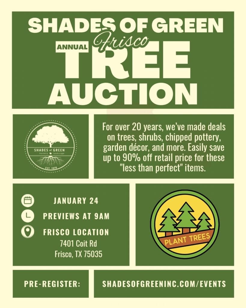 Tree Auction Frisco