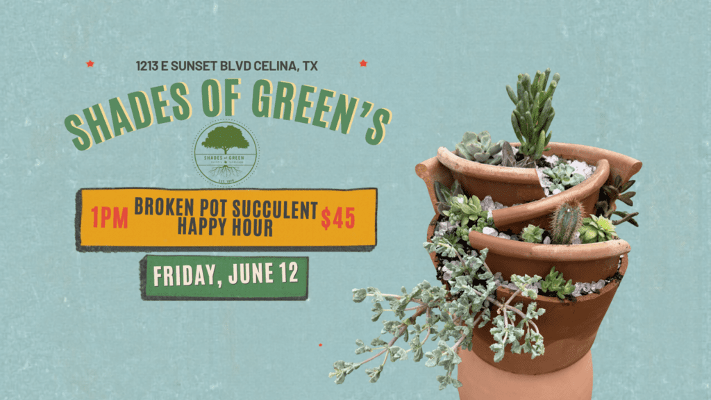 broken pot class