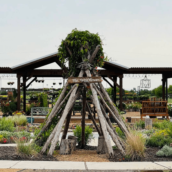 Celina TX Shades of Green Inc Garden Center Nursery