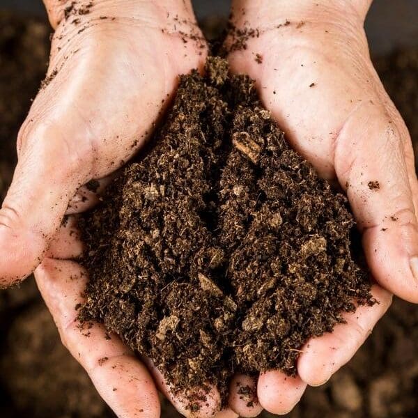 frisco-tx-organic-fertilizer